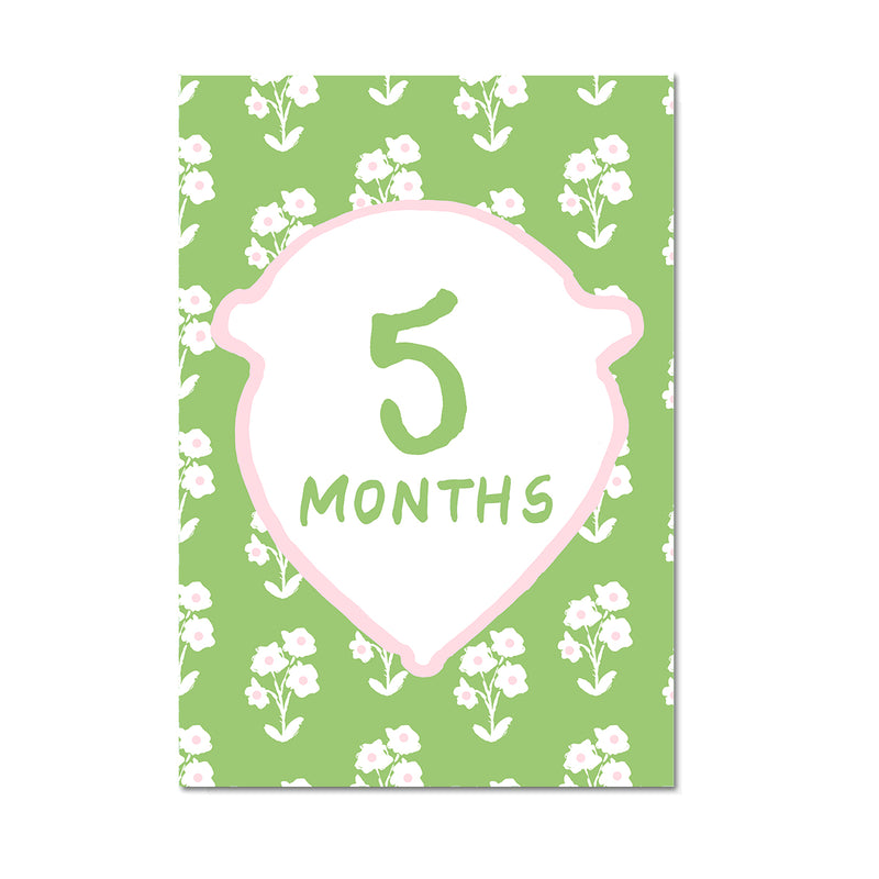 Baby Milestone Cards: Pink + Green Set