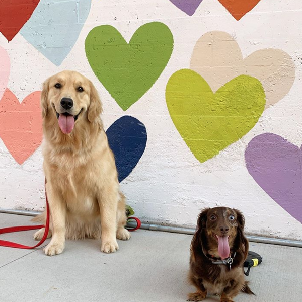 Screen_Shot_2019-06-08_at_12.