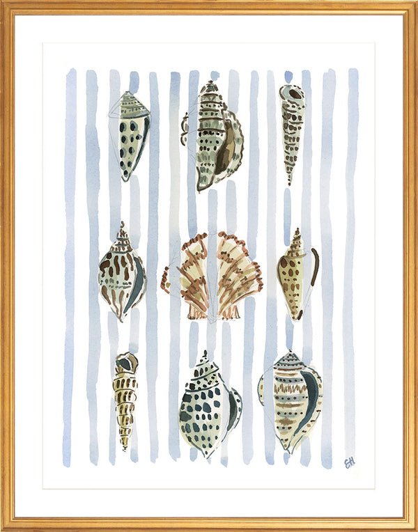 The "Seashell Stripes No. 1" Watercolor Fine Art Print