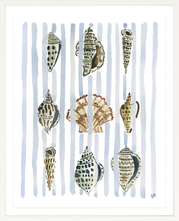 The "Seashell Stripes No. 1" Watercolor Fine Art Print