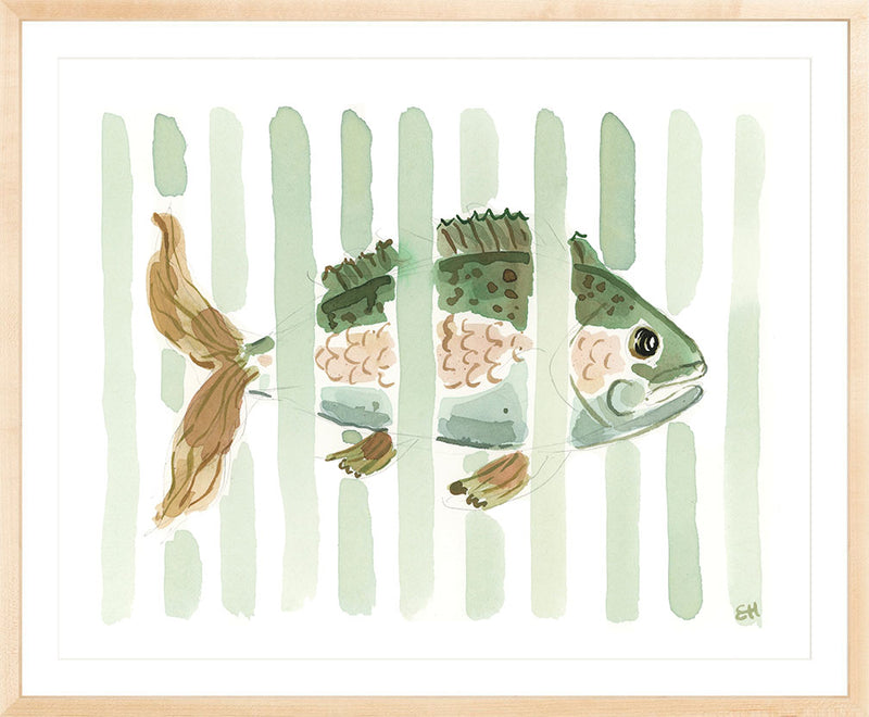 The "Pacific Stripes" Fish Watercolor Fine Art Print
