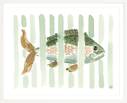 The "Pacific Stripes" Fish Watercolor Fine Art Print