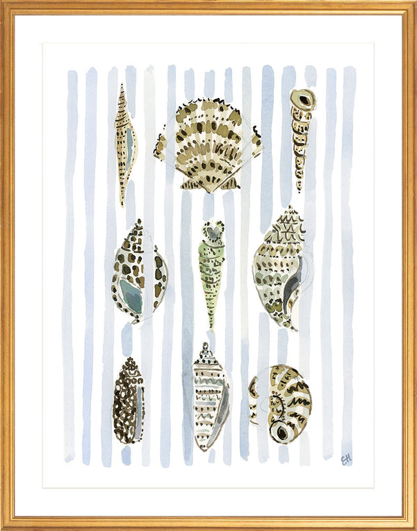 The "Seashell Stripes No. 2" Watercolor Fine Art Print