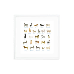 ABC Dogs, Fine Art Print