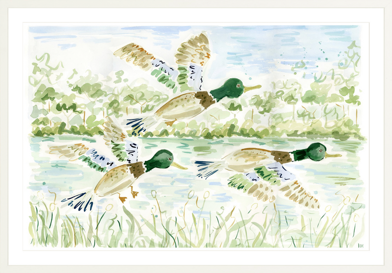 The "Mallard Ball" Fine Art Print