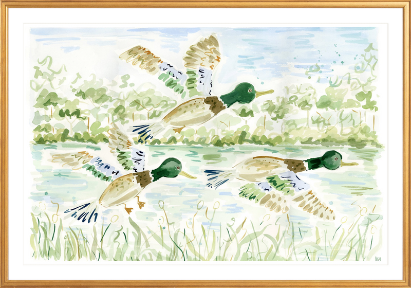 The "Mallard Ball" Fine Art Print