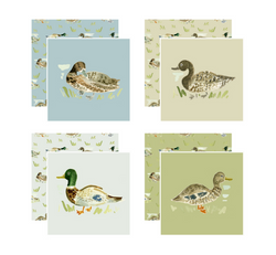 Duck, Duck Coasters, Set of 4