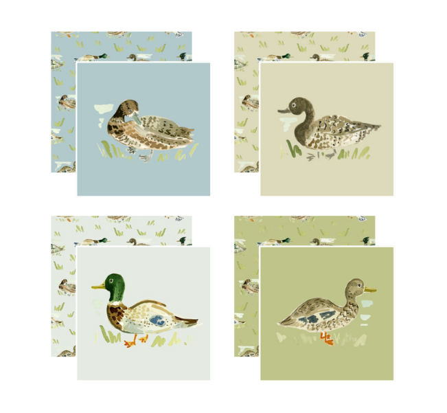 Duck, Duck Coasters, Set of 4