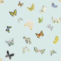 Butterfly Fabric
