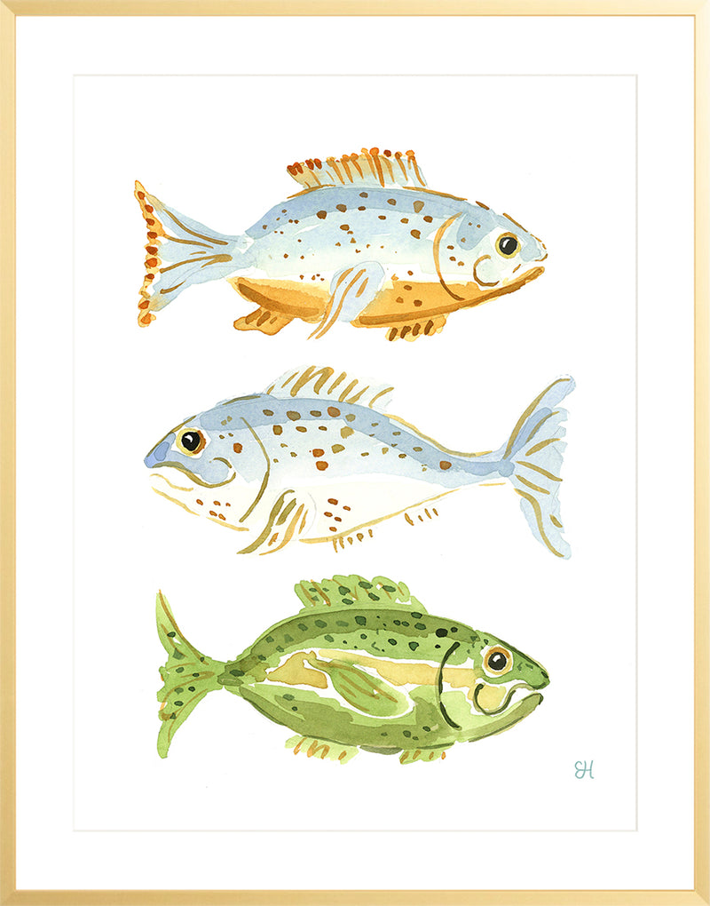 The "Fish School No. 3" Watercolor Fish Fine Art Print