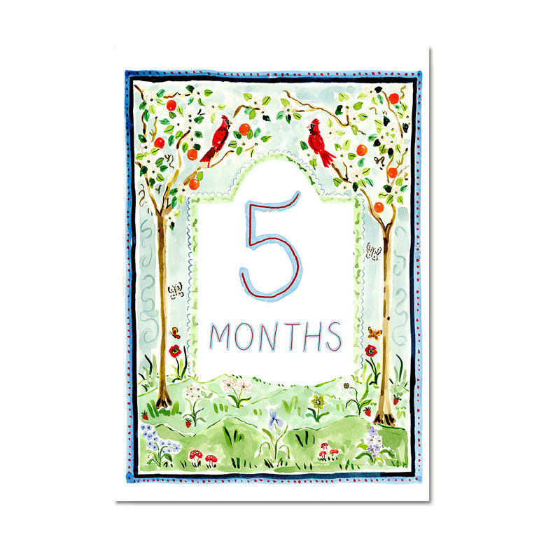 Baby Milestone Cards: Whimsical Set