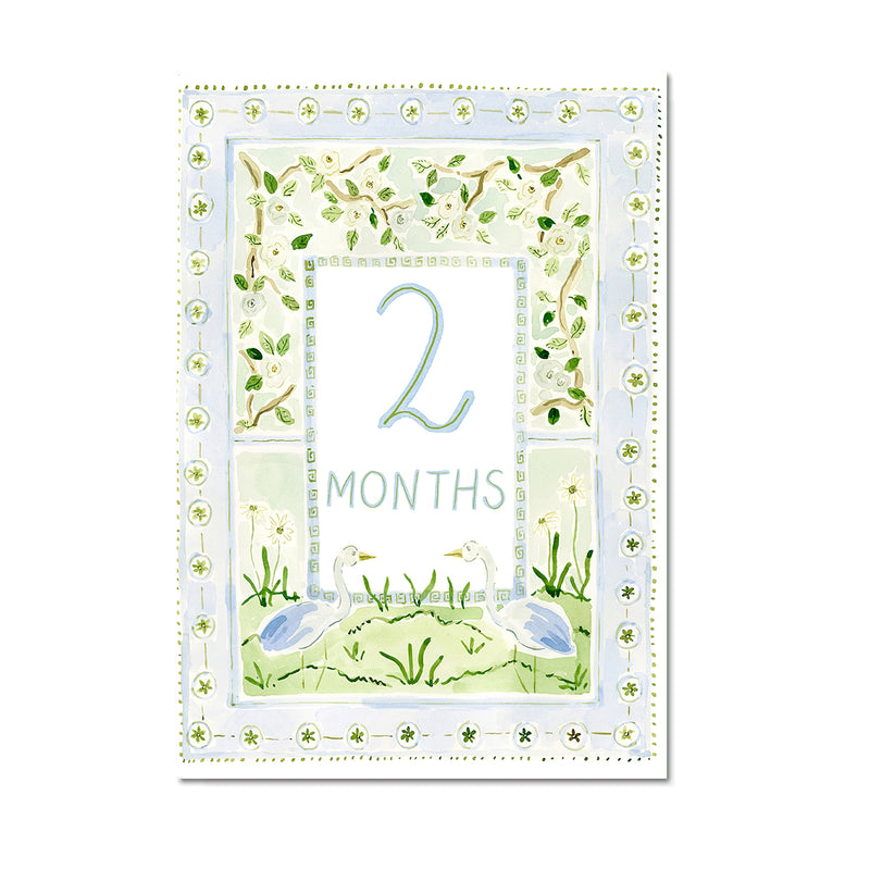 Baby Milestone Cards: Whimsical Set