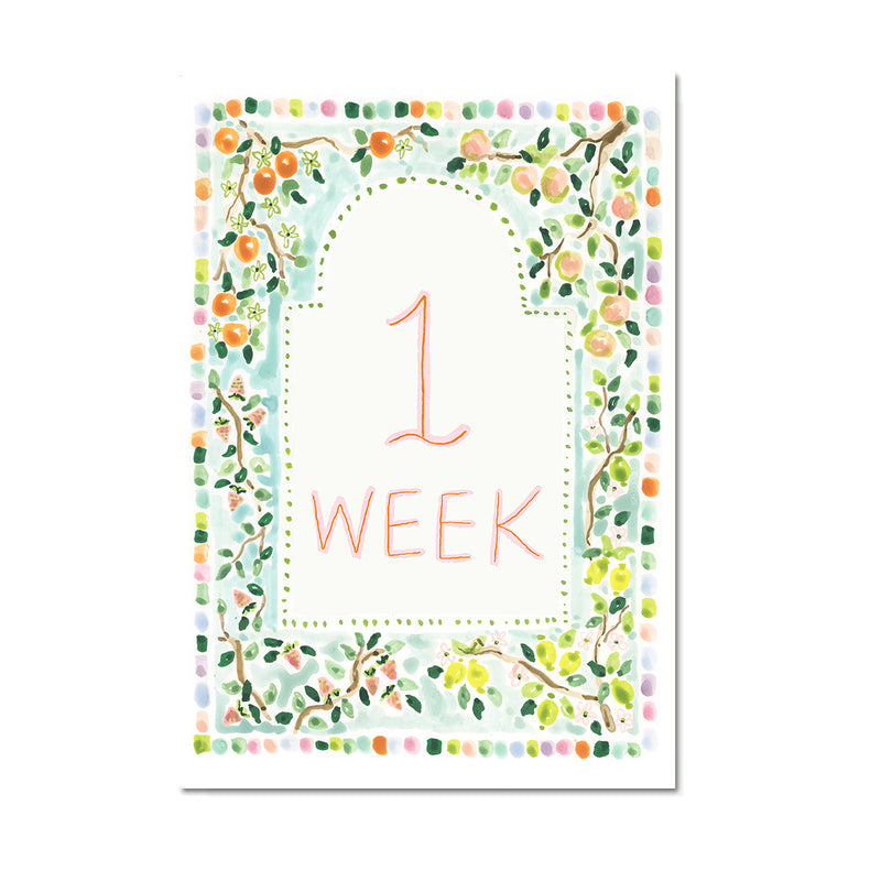 Baby Milestone Cards: Whimsical Set (Restocking Summer 2025)