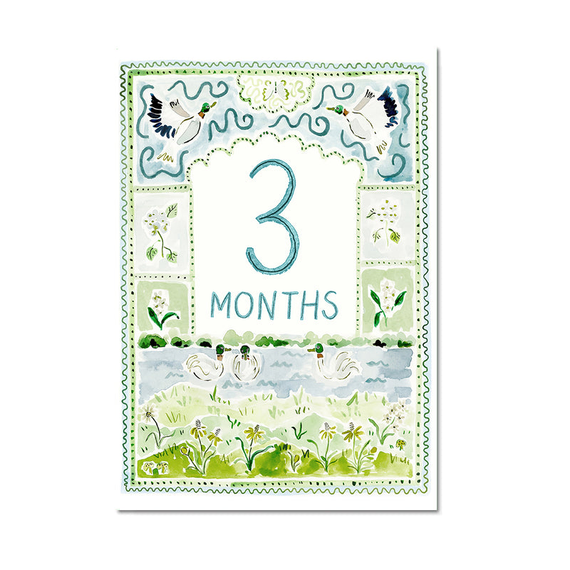 Baby Milestone Cards: Whimsical Set