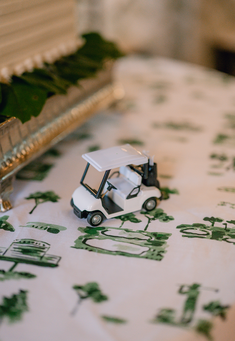 Kyger Golf Toile Fabric- Green