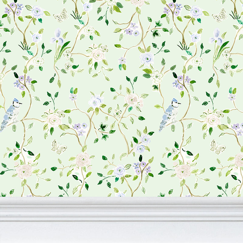 Blue Jay Wallpaper