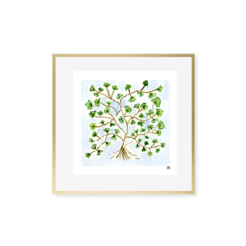 The "Maidenhair Fern No. 1" Fine Art Print