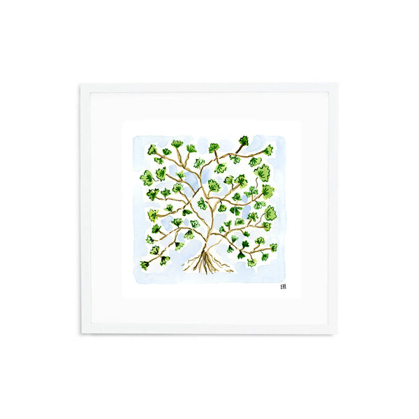 The "Maidenhair Fern No. 1" Fine Art Print