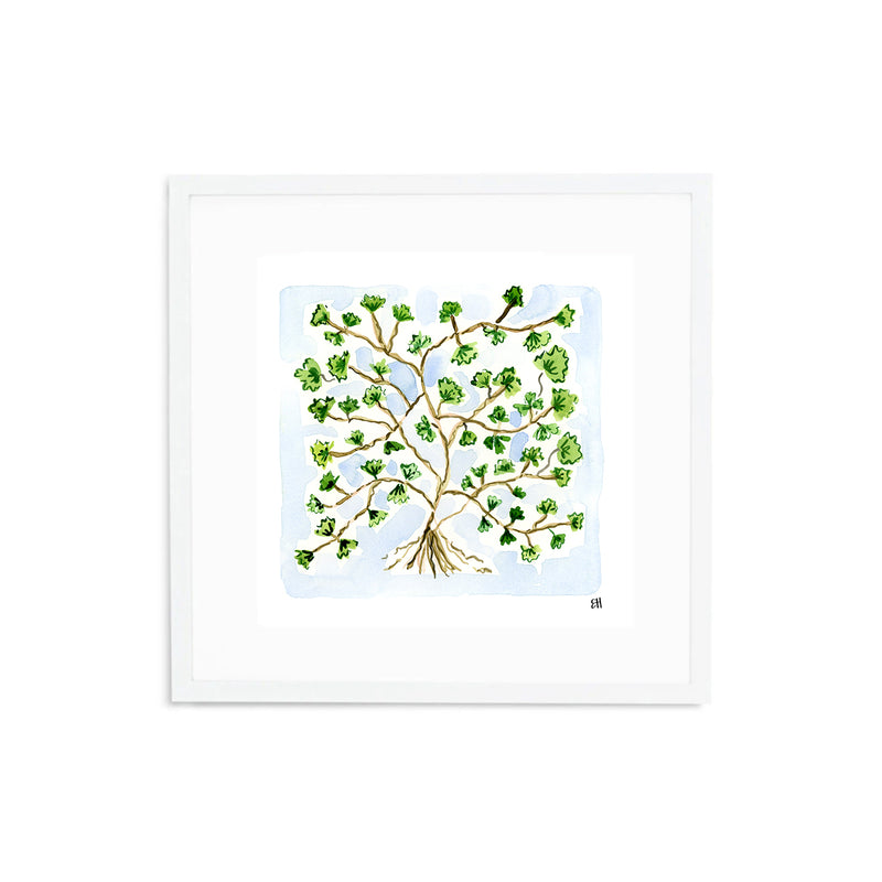 The "Maidenhair Fern No. 1" Fine Art Print