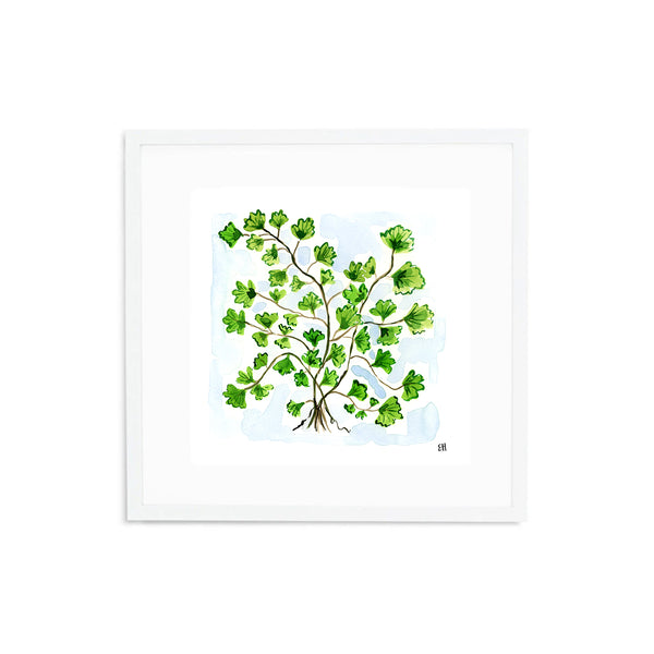 The "Maidenhair Fern No. 2" Fine Art Print
