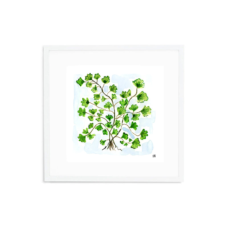 The "Maidenhair Fern No. 2" Fine Art Print