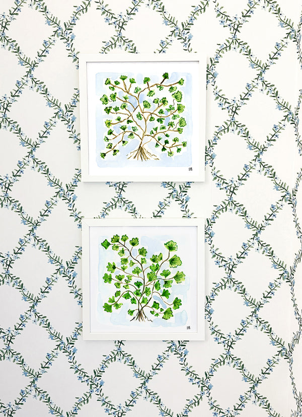 The "Maidenhair Fern No. 1" Fine Art Print