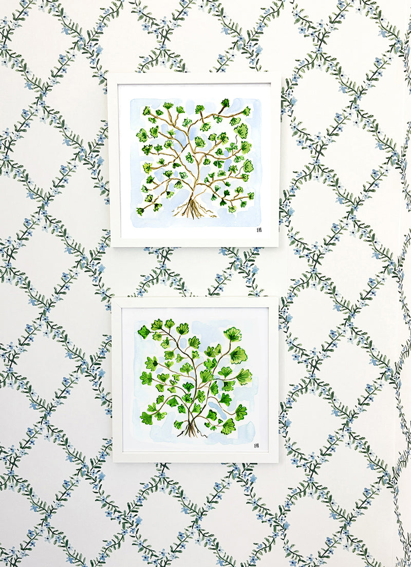 The "Maidenhair Fern No. 1" Fine Art Print