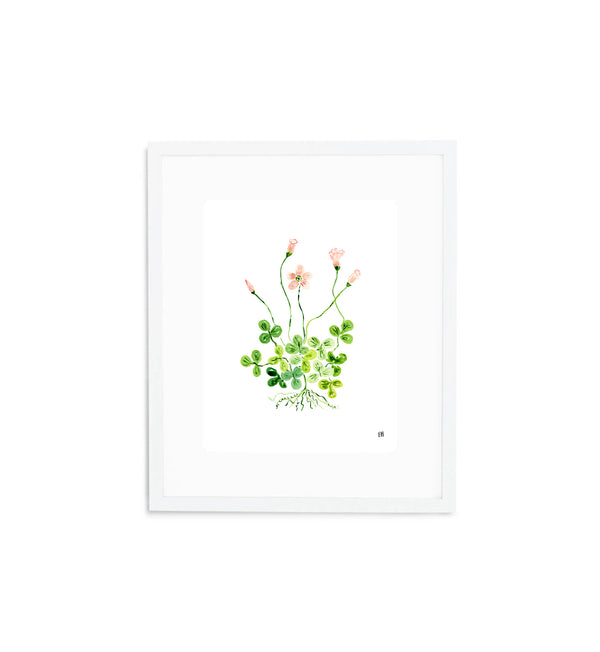 The "Blooms of Luck" Fine Art Print