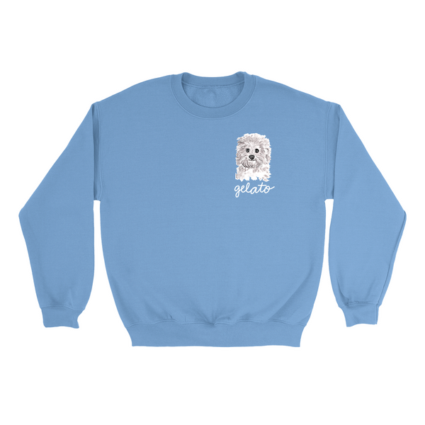 Personalized Dog Sweatshirt (Limited Availability)