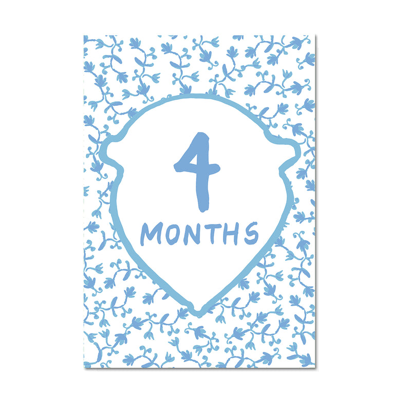Baby Milestone Cards: Blue + Green Set