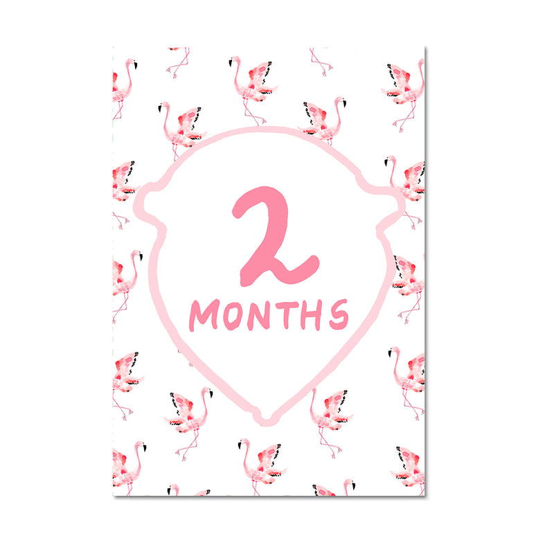 Baby Milestone Cards: Pink + Green Set